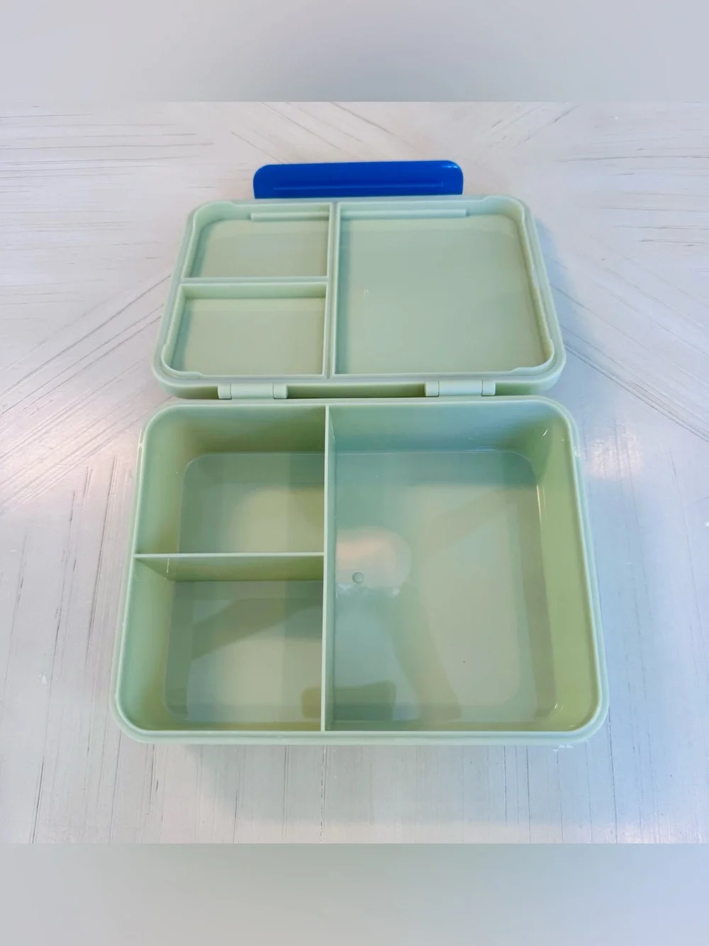 Cat & Jack Kids’ Dino Camo 3-Compartment Bento Lunch Box NWT